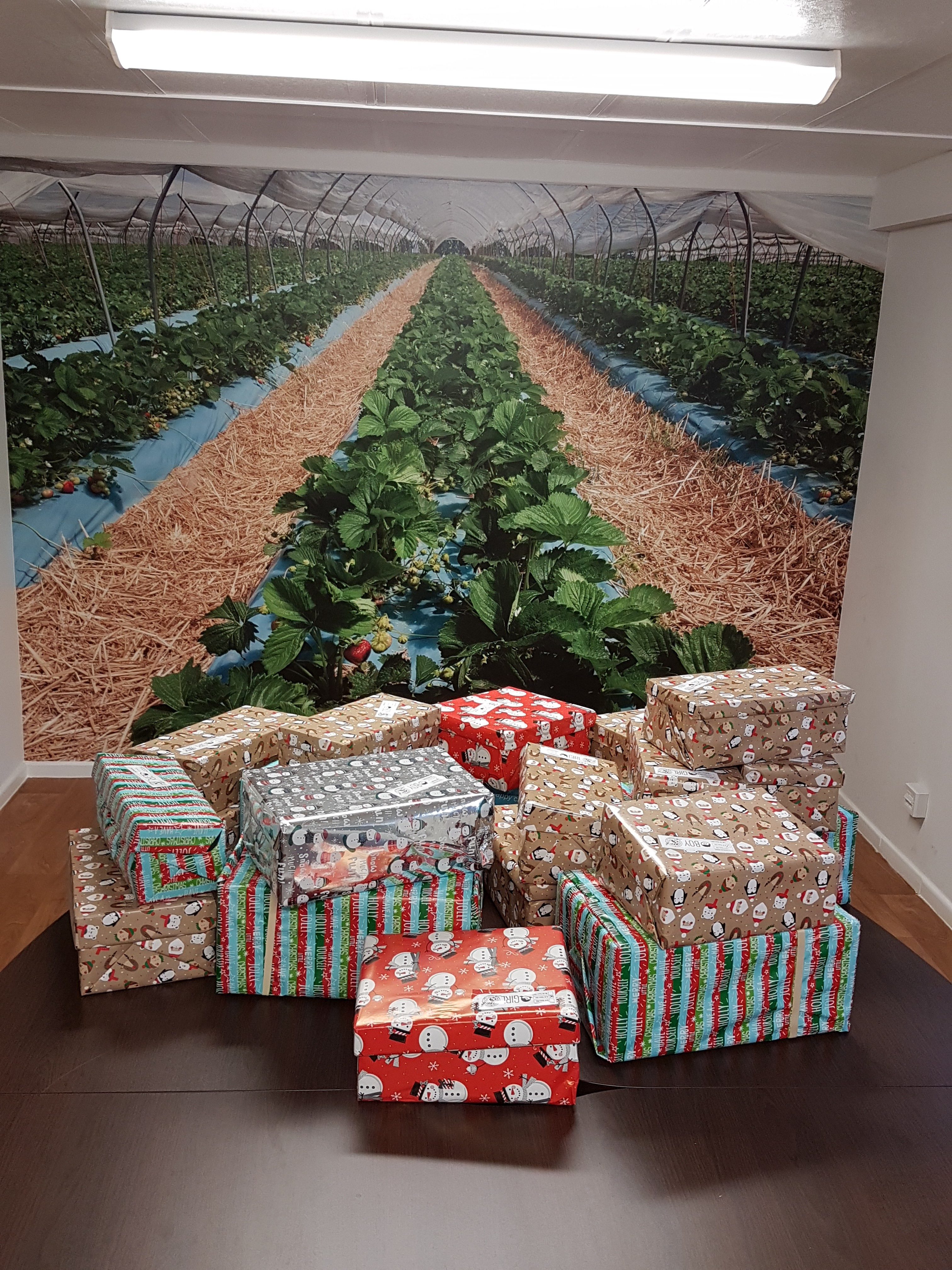 Shoe Box Appeal New Place UK